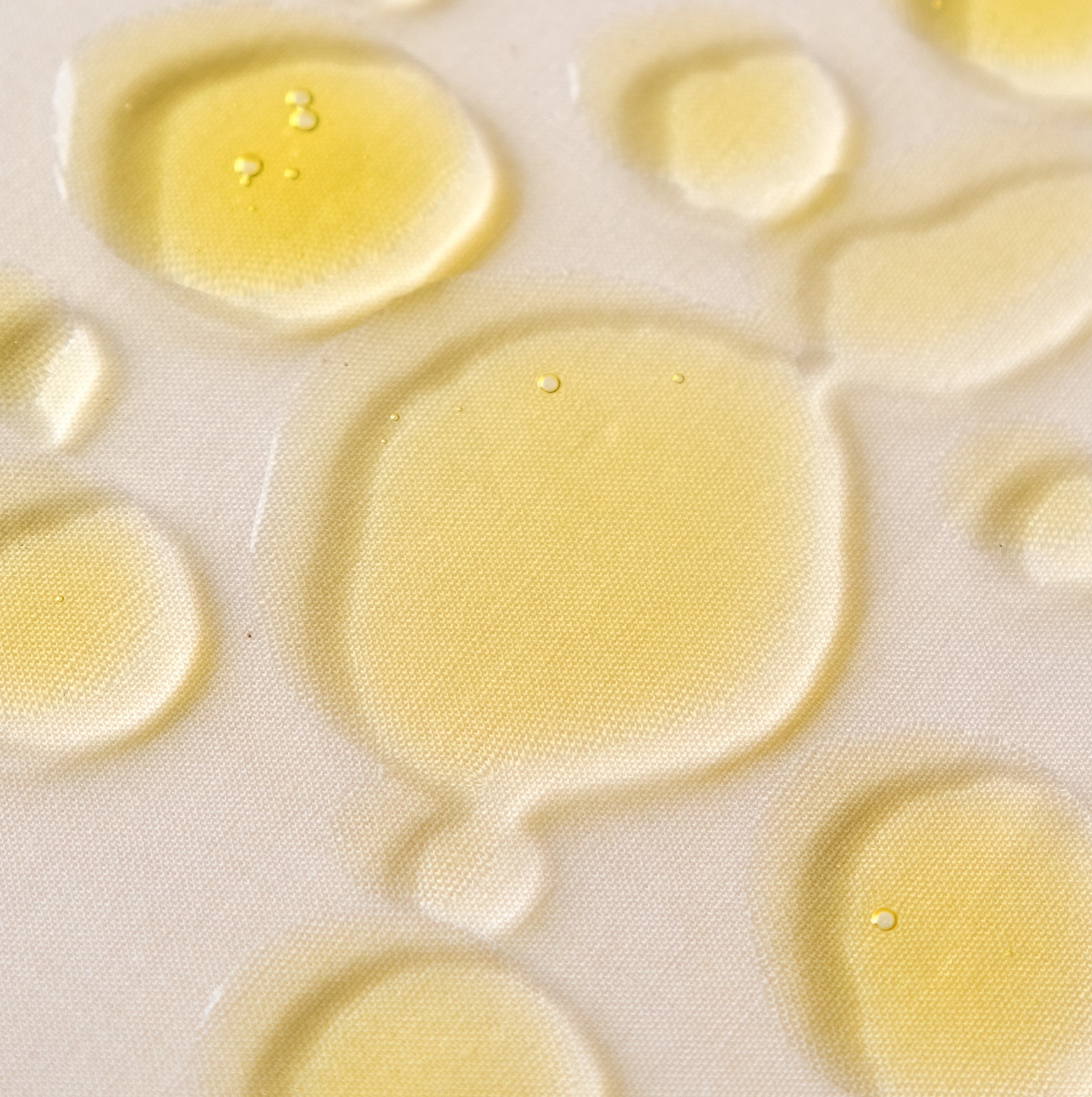 Moringa oil ecological format